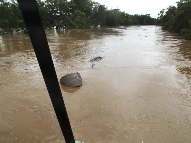 DSCF0180 Matquarie River.JPG